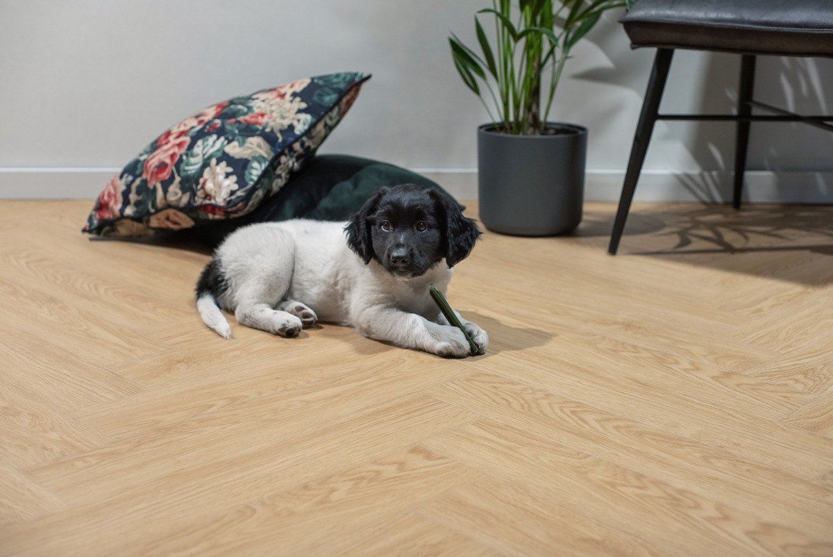 Floer - Floer Visgraat Click PVC – Eems Natuur (Uitlopend) - PVC Klik - Afbeelding 3