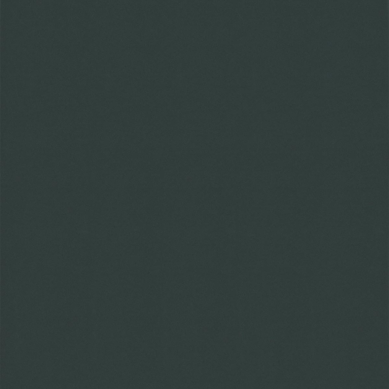 PPC - Afwerklijst met plakstrip antraciet RAL 7016 - Plakplint - Afbeelding 2