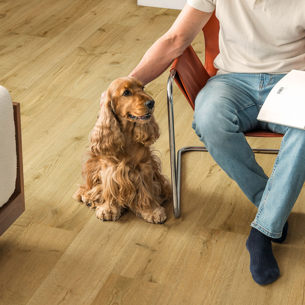 Quick-Step - Truffel eik - Laminaat - Afbeelding 4