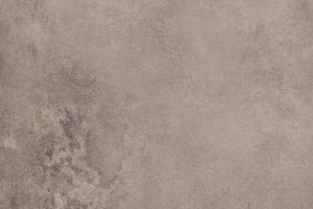 Stone Dryback - Afbeelding 2