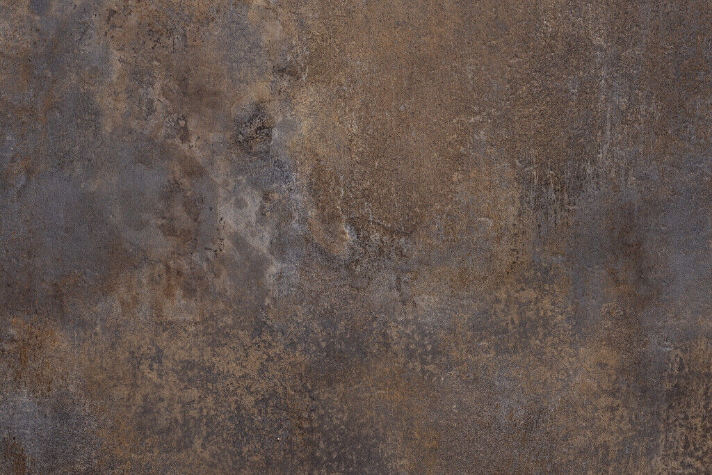 Stone Dryback - Afbeelding 3